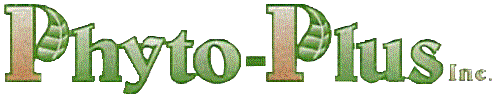 LogoTrans.gif (11730 bytes)
